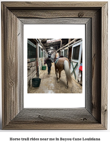 horse trail rides near me in Bayou Cane, Louisiana